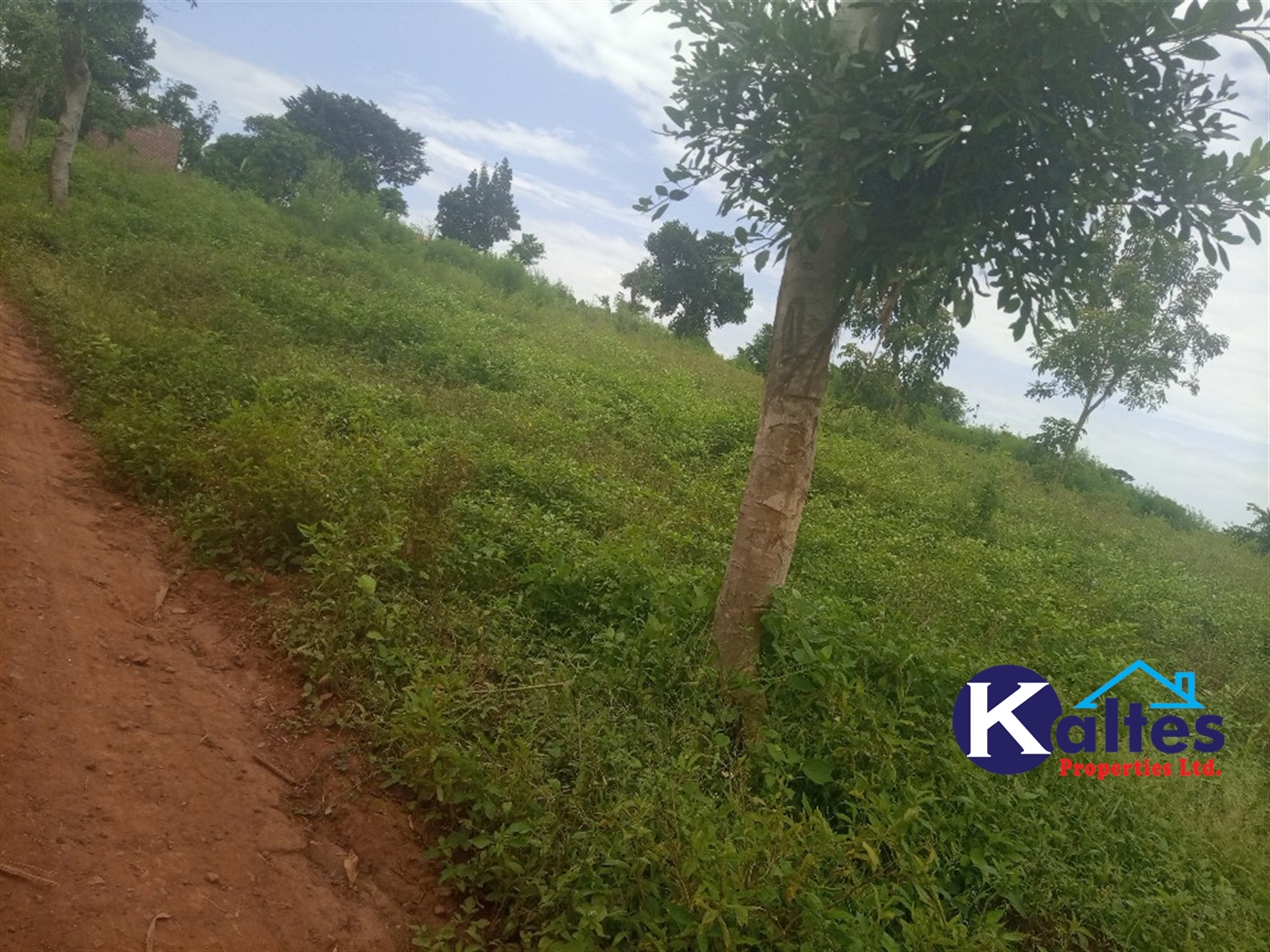 Agricultural Land for sale in Bweyale Kayunga