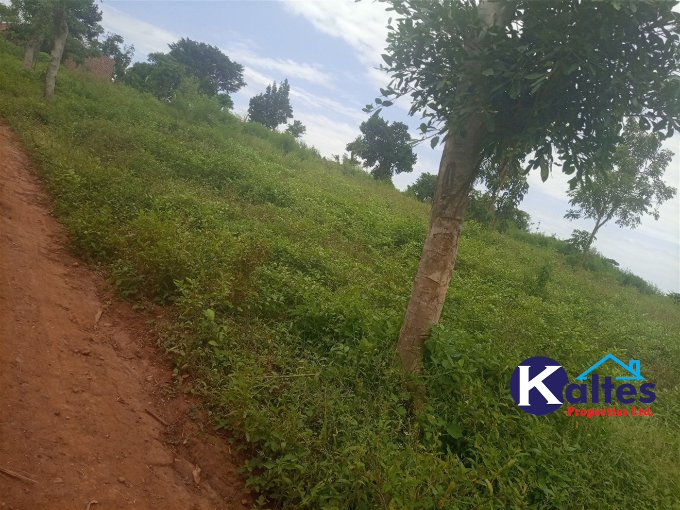 Agricultural Land for sale in Bweyale Kayunga