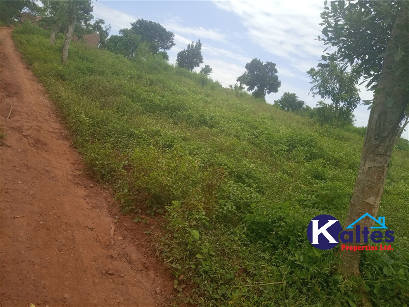 Agricultural Land for sale in Bweyale Kayunga