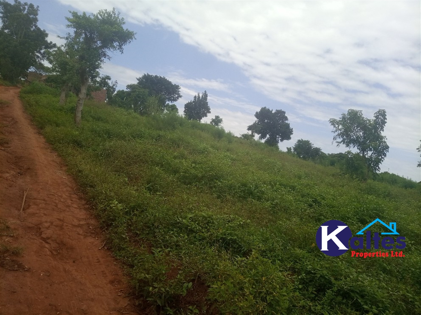 Agricultural Land for sale in Bweyale Kayunga