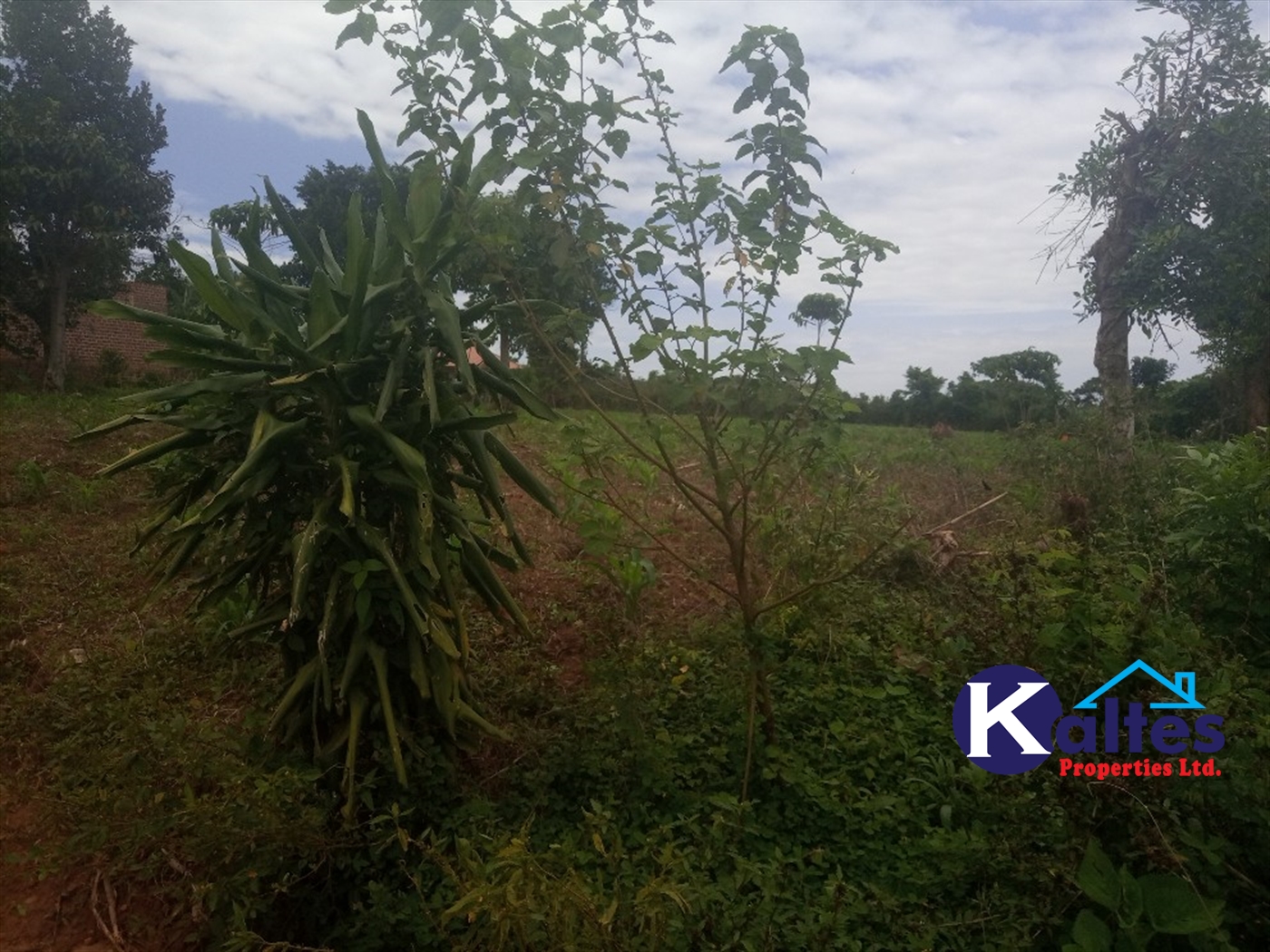 Agricultural Land for sale in Bweyale Kayunga