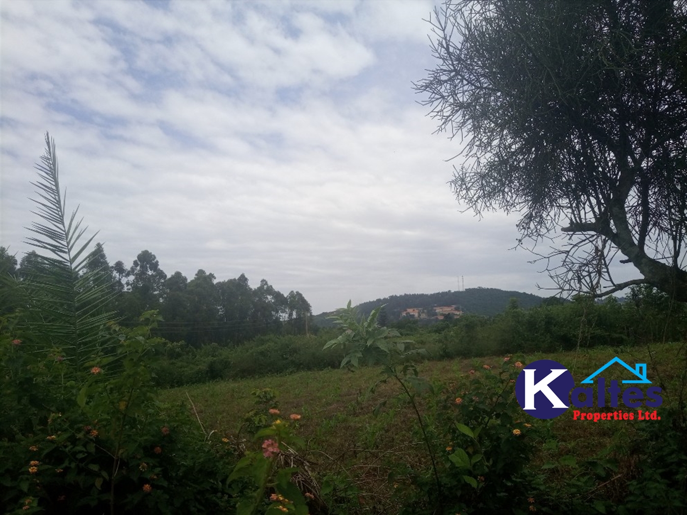 Agricultural Land for sale in Bweyale Kayunga