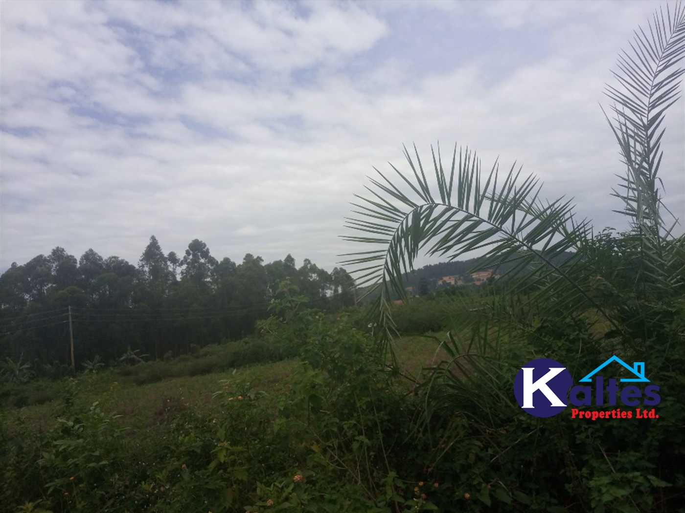 Agricultural Land for sale in Bweyale Kayunga