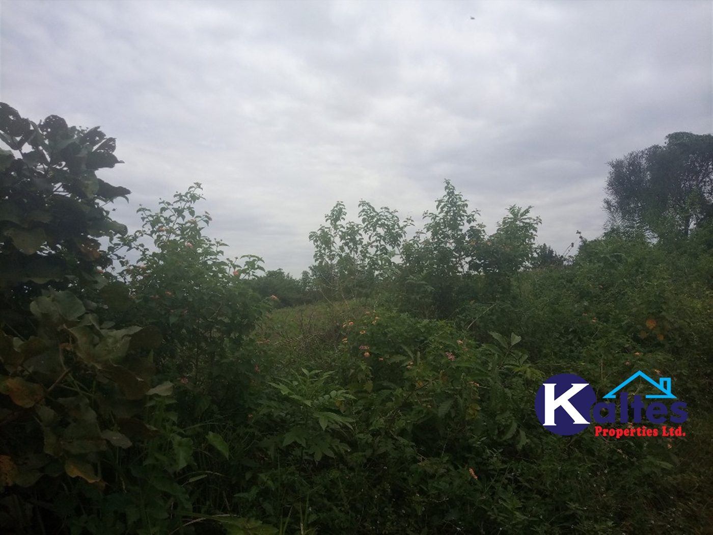 Agricultural Land for sale in Bweyale Kayunga