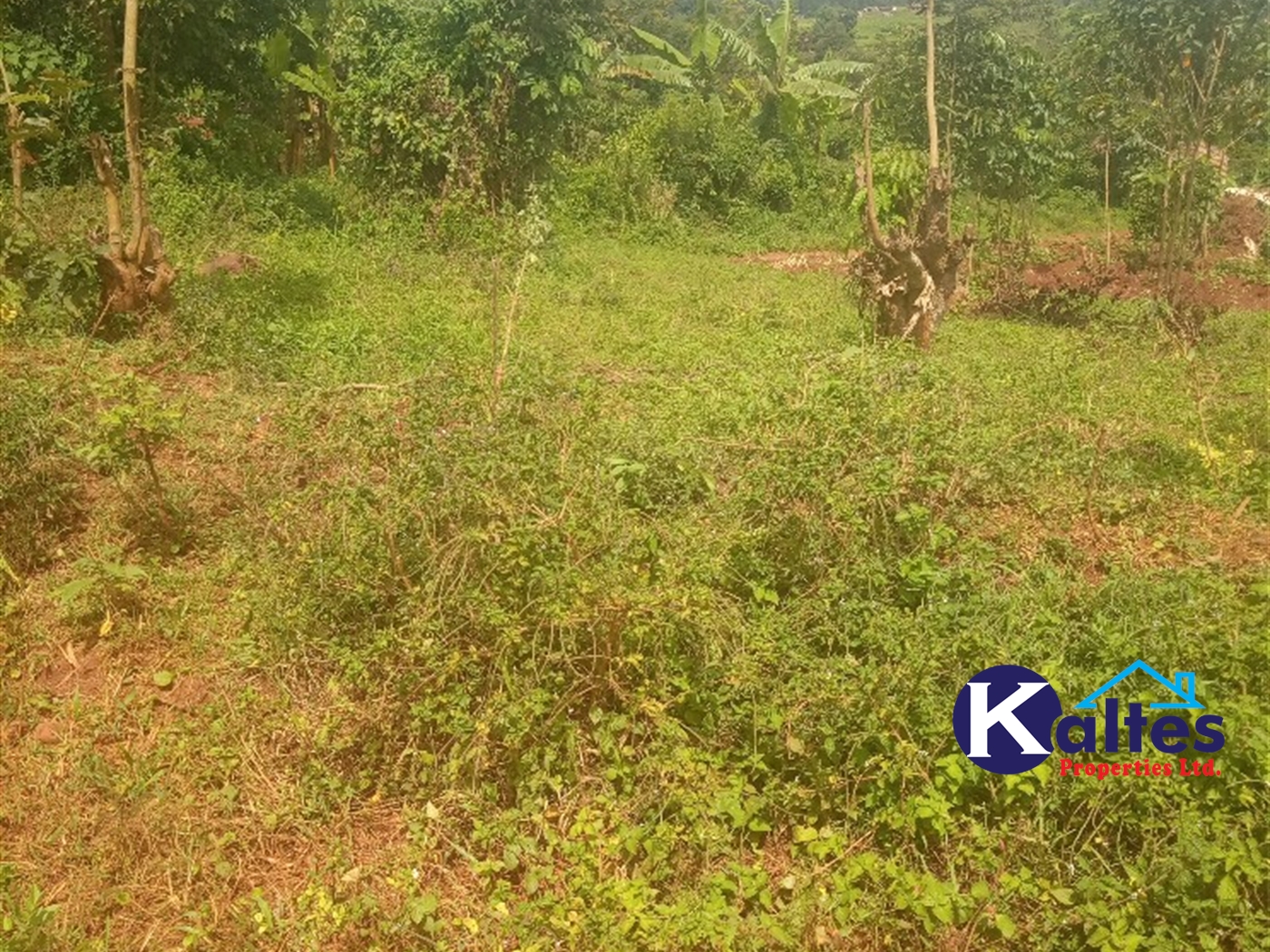 Agricultural Land for sale in Gangama Kayunga