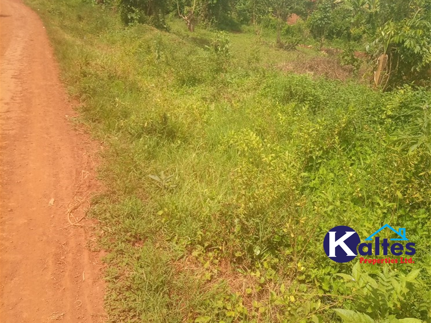 Agricultural Land for sale in Gangama Kayunga