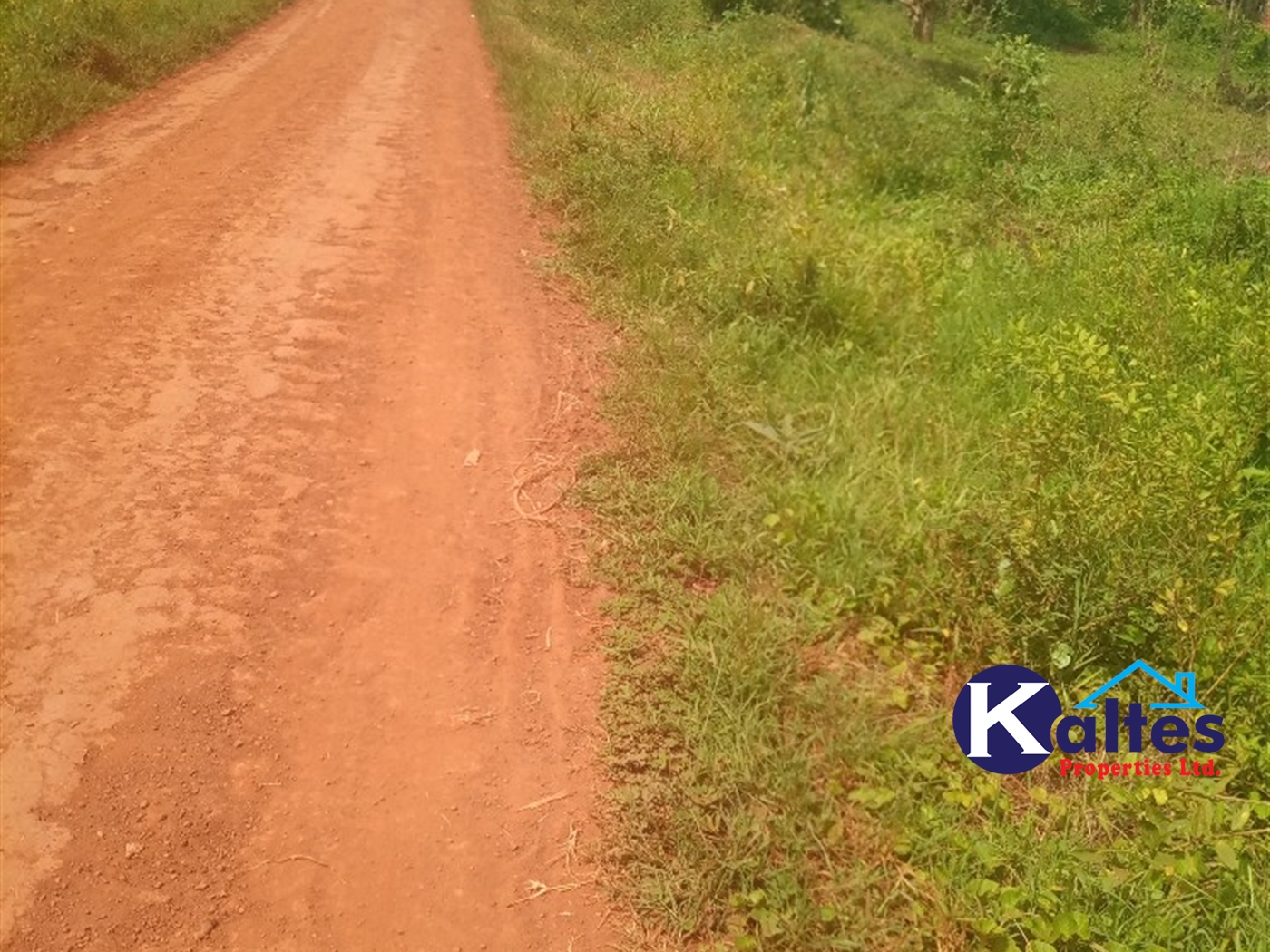 Agricultural Land for sale in Gangama Kayunga