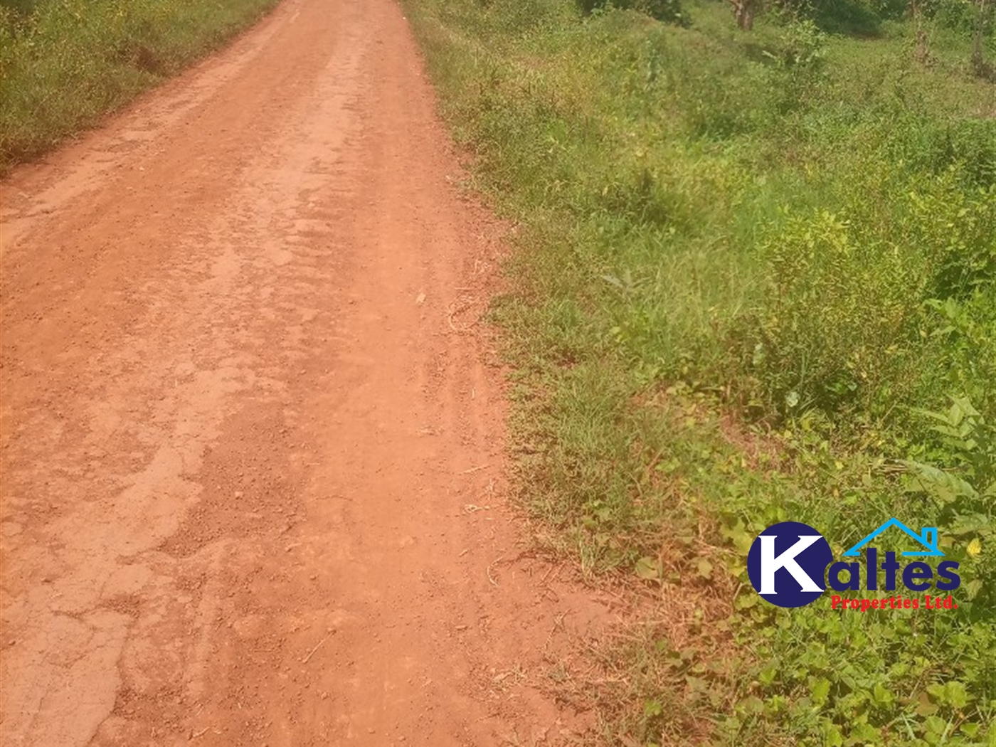 Agricultural Land for sale in Gangama Kayunga