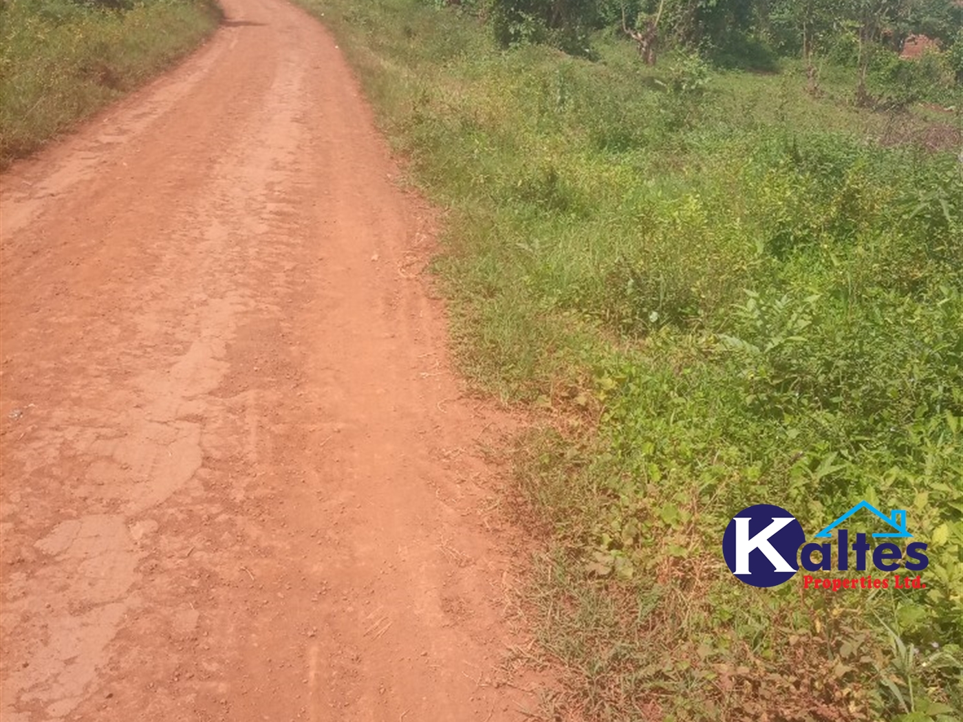 Agricultural Land for sale in Gangama Kayunga