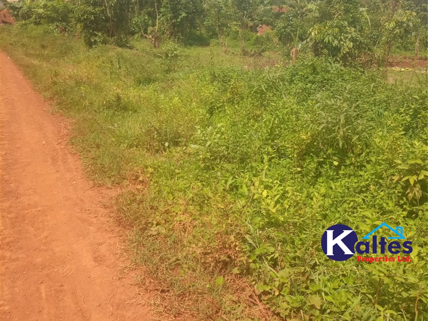 Agricultural Land for sale in Gangama Kayunga