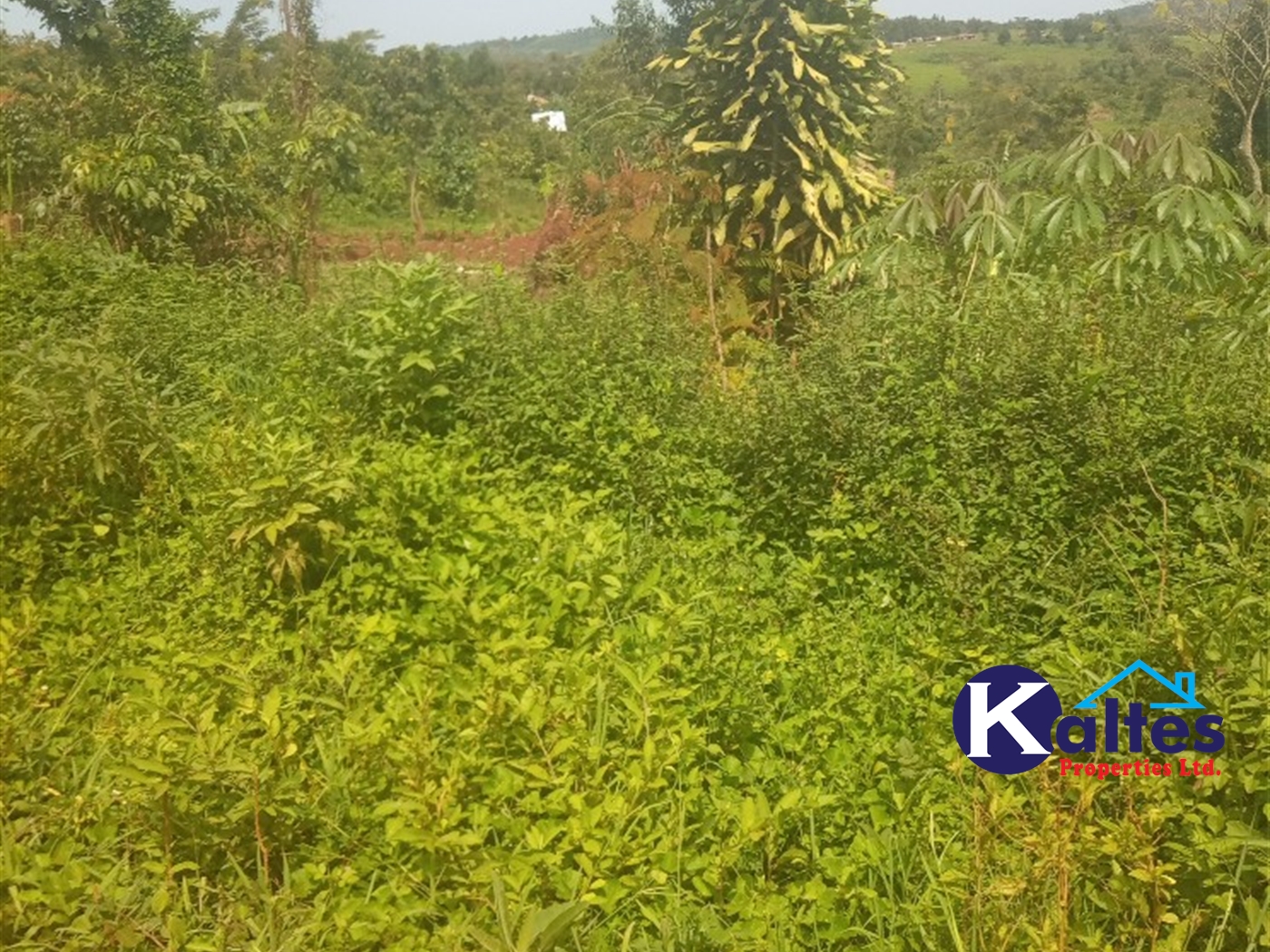 Agricultural Land for sale in Gangama Kayunga