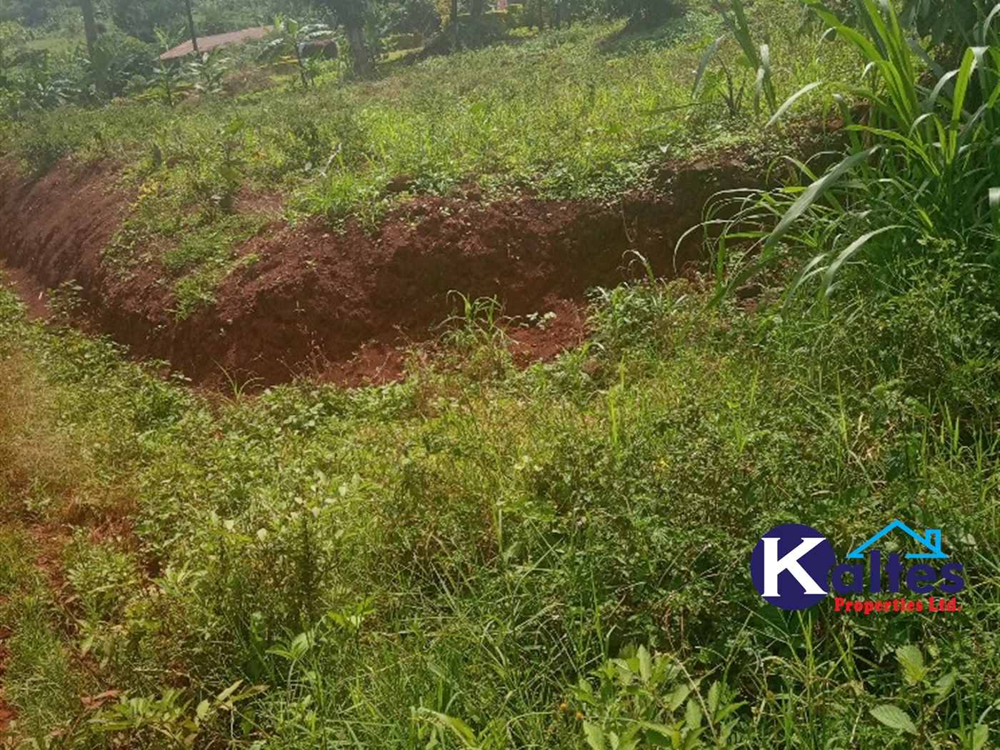 Agricultural Land for sale in Gangama Kayunga