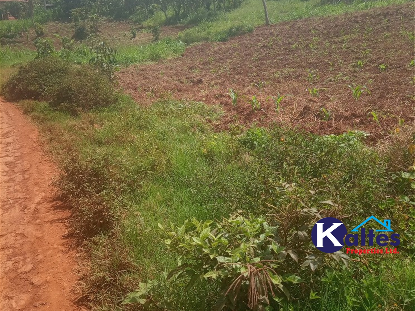 Agricultural Land for sale in Gayaza Kayunga