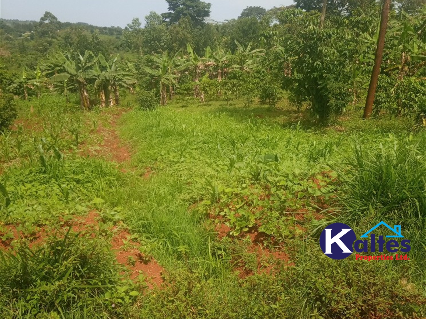 Agricultural Land for sale in Gayaza Kayunga