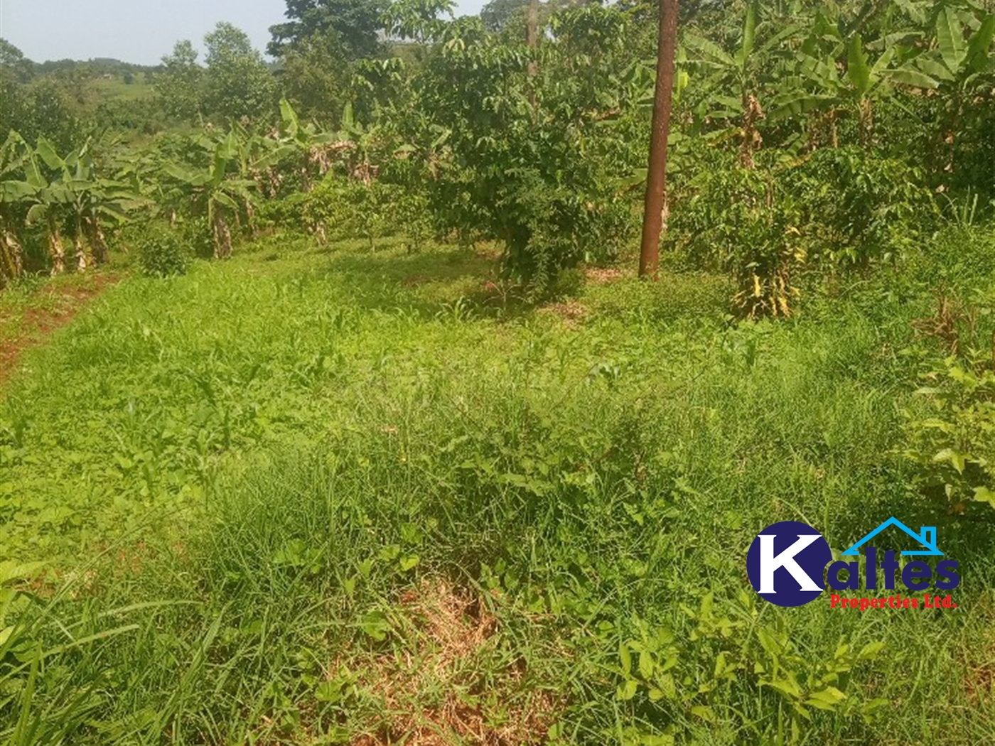 Agricultural Land for sale in Gayaza Kayunga