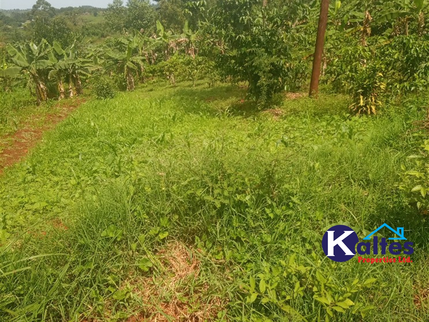 Agricultural Land for sale in Gayaza Kayunga