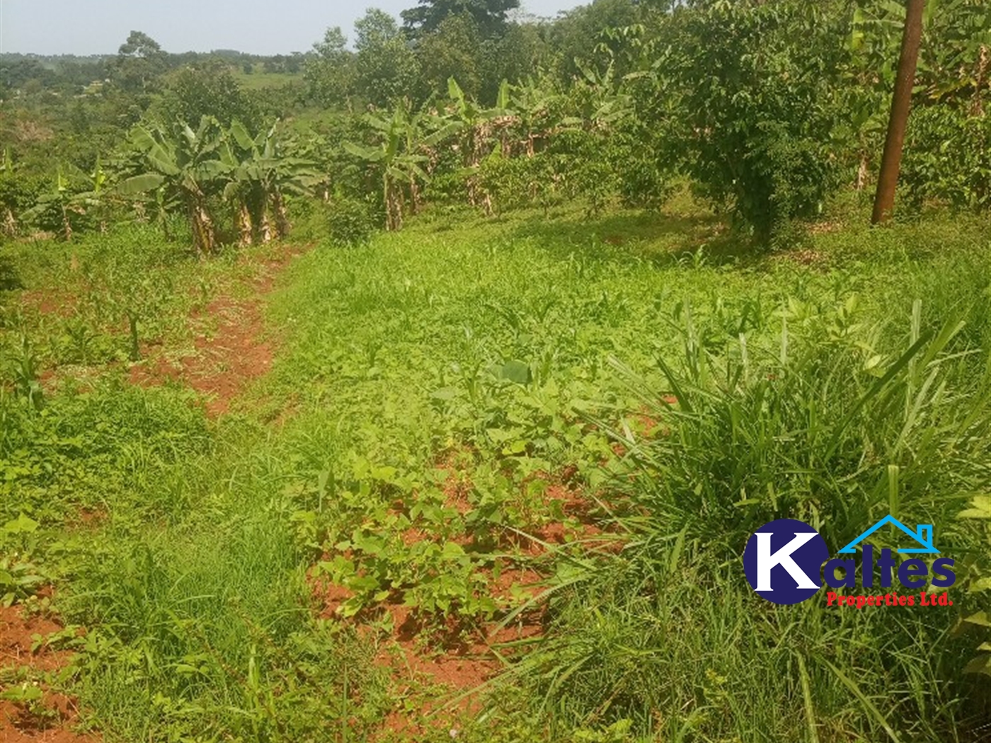 Agricultural Land for sale in Gayaza Kayunga