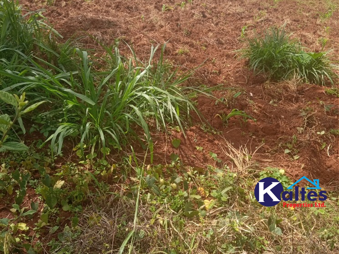 Agricultural Land for sale in Juko Kayunga