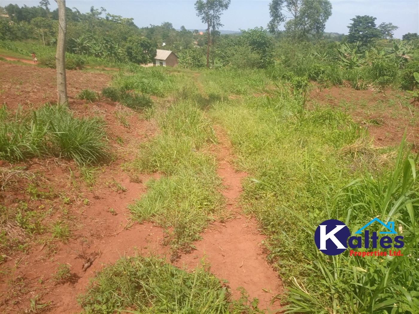 Agricultural Land for sale in Juko Kayunga