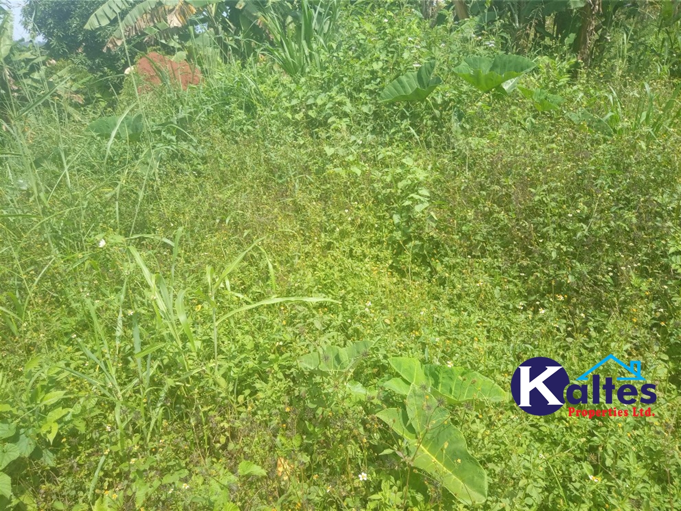 Agricultural Land for sale in Juko Kayunga