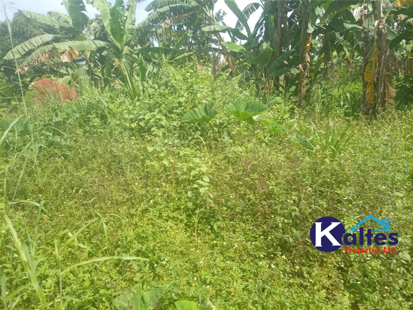 Agricultural Land for sale in Juko Kayunga