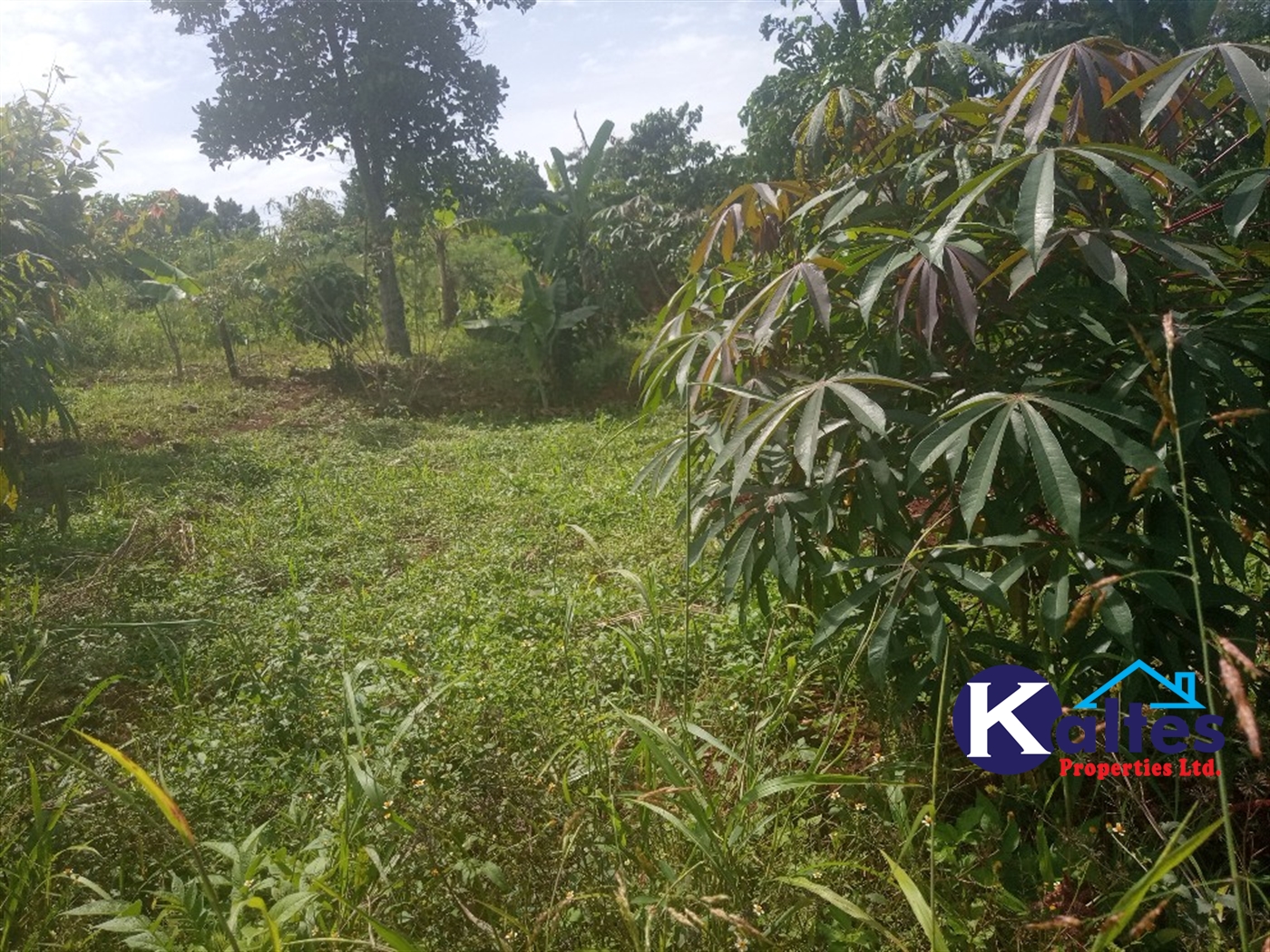 Agricultural Land for sale in Juko Kayunga