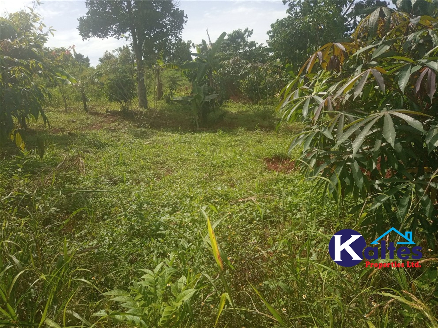 Agricultural Land for sale in Juko Kayunga