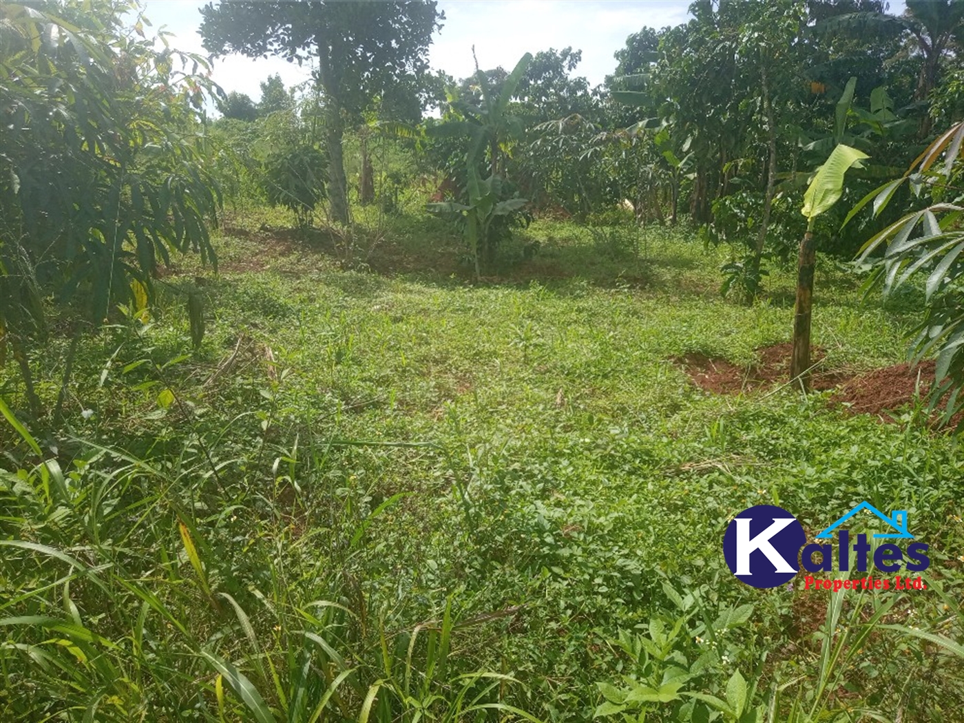 Agricultural Land for sale in Juko Kayunga