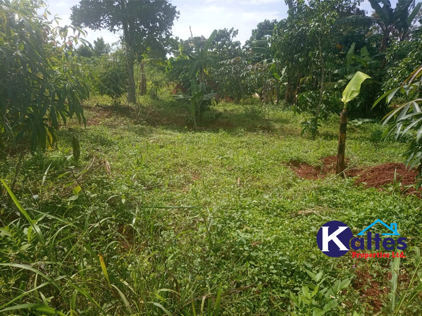 Agricultural Land for sale in Juko Kayunga