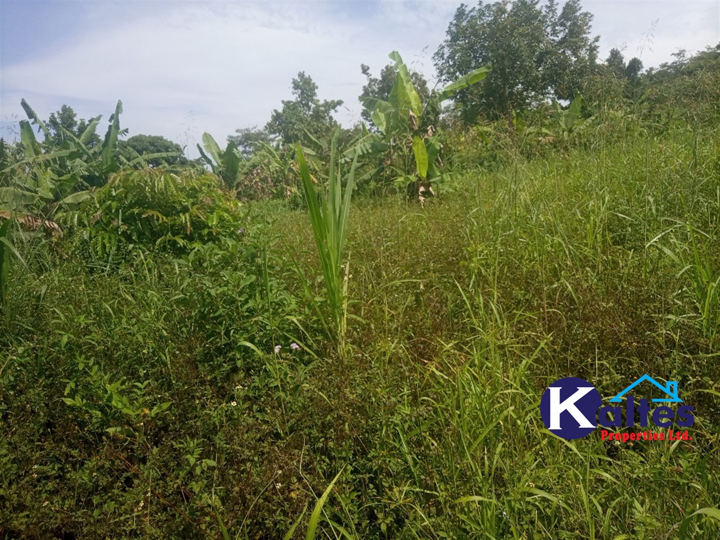 Agricultural Land for sale in Kabila Kayunga