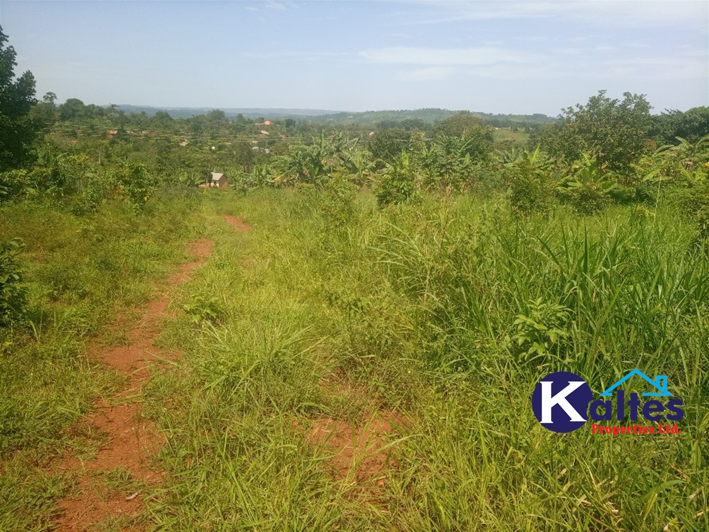 Agricultural Land for sale in Kabila Kayunga