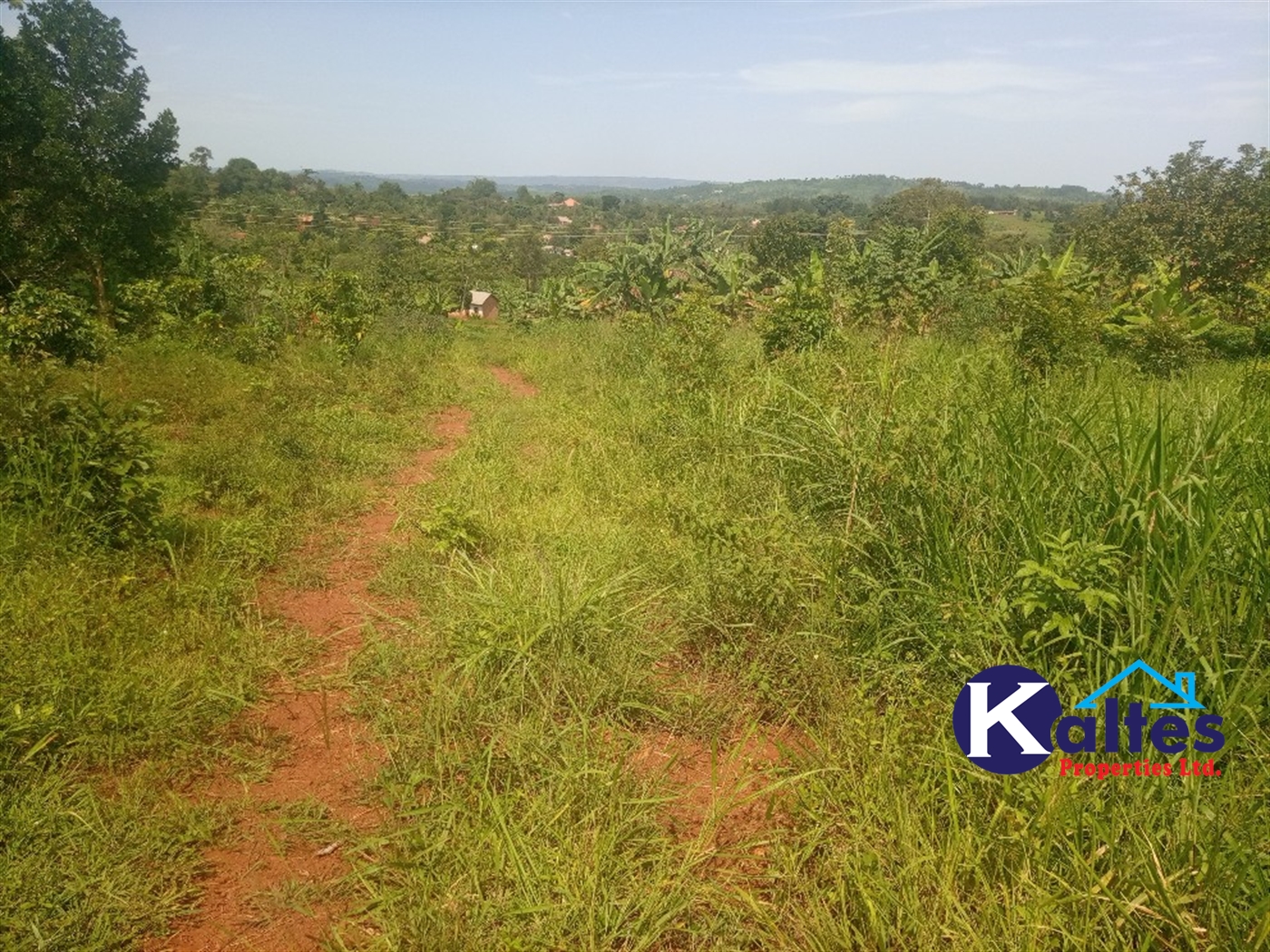 Agricultural Land for sale in Kabila Kayunga