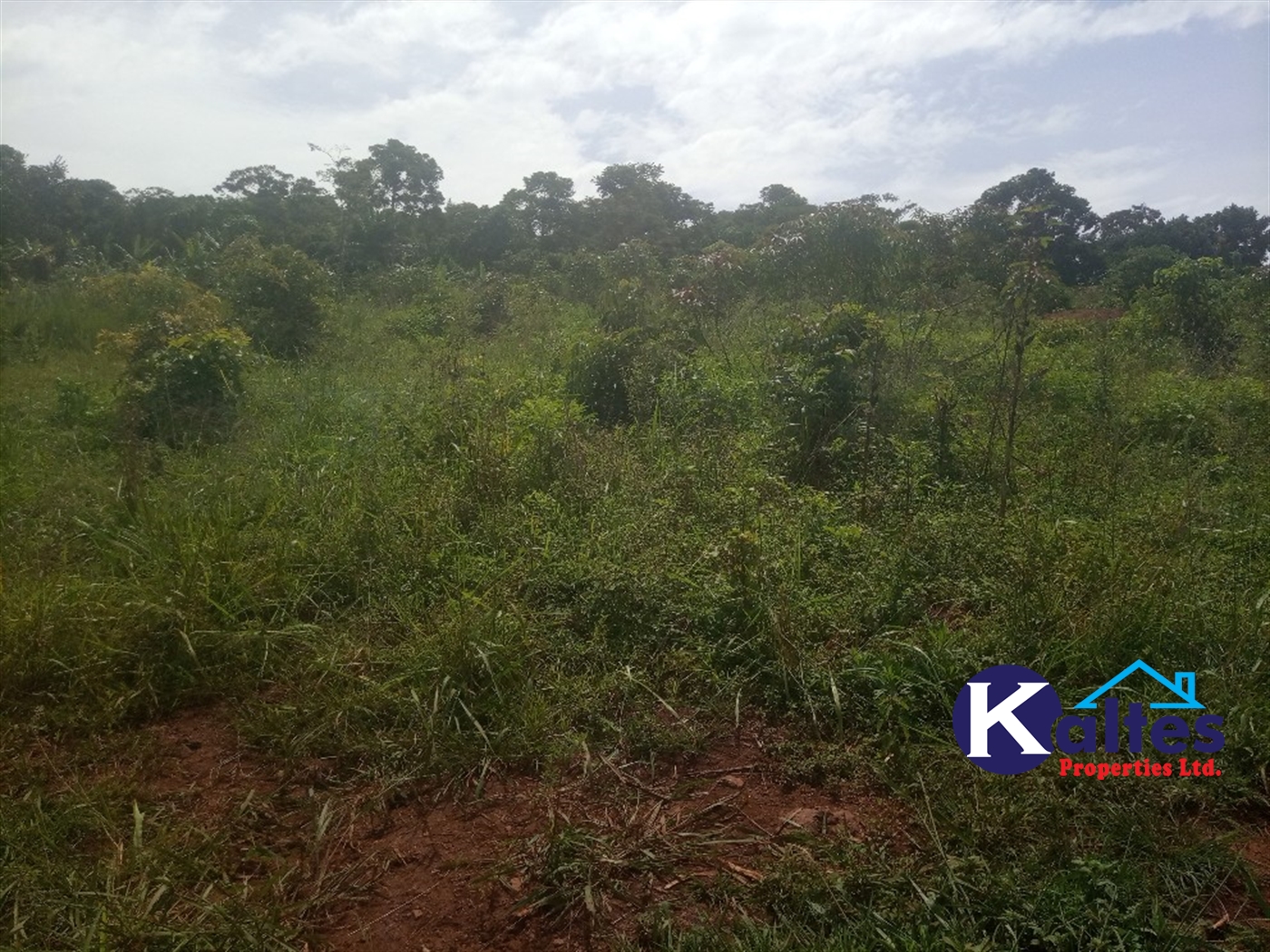 Agricultural Land for sale in Kabila Kayunga