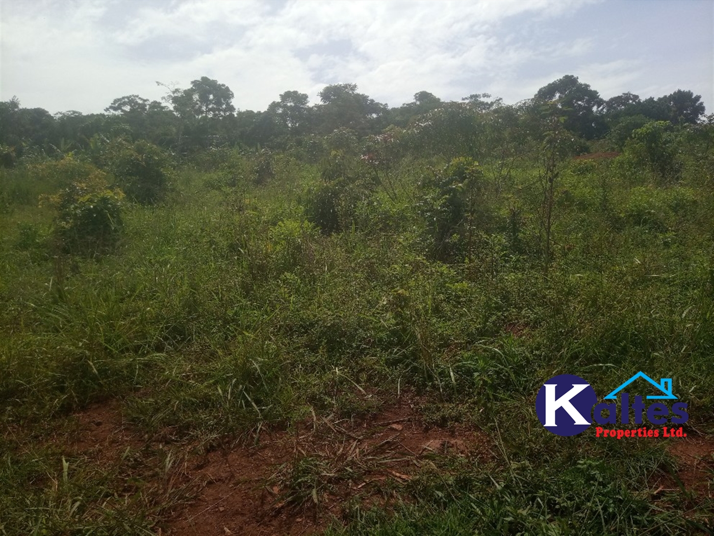 Agricultural Land for sale in Kabila Kayunga