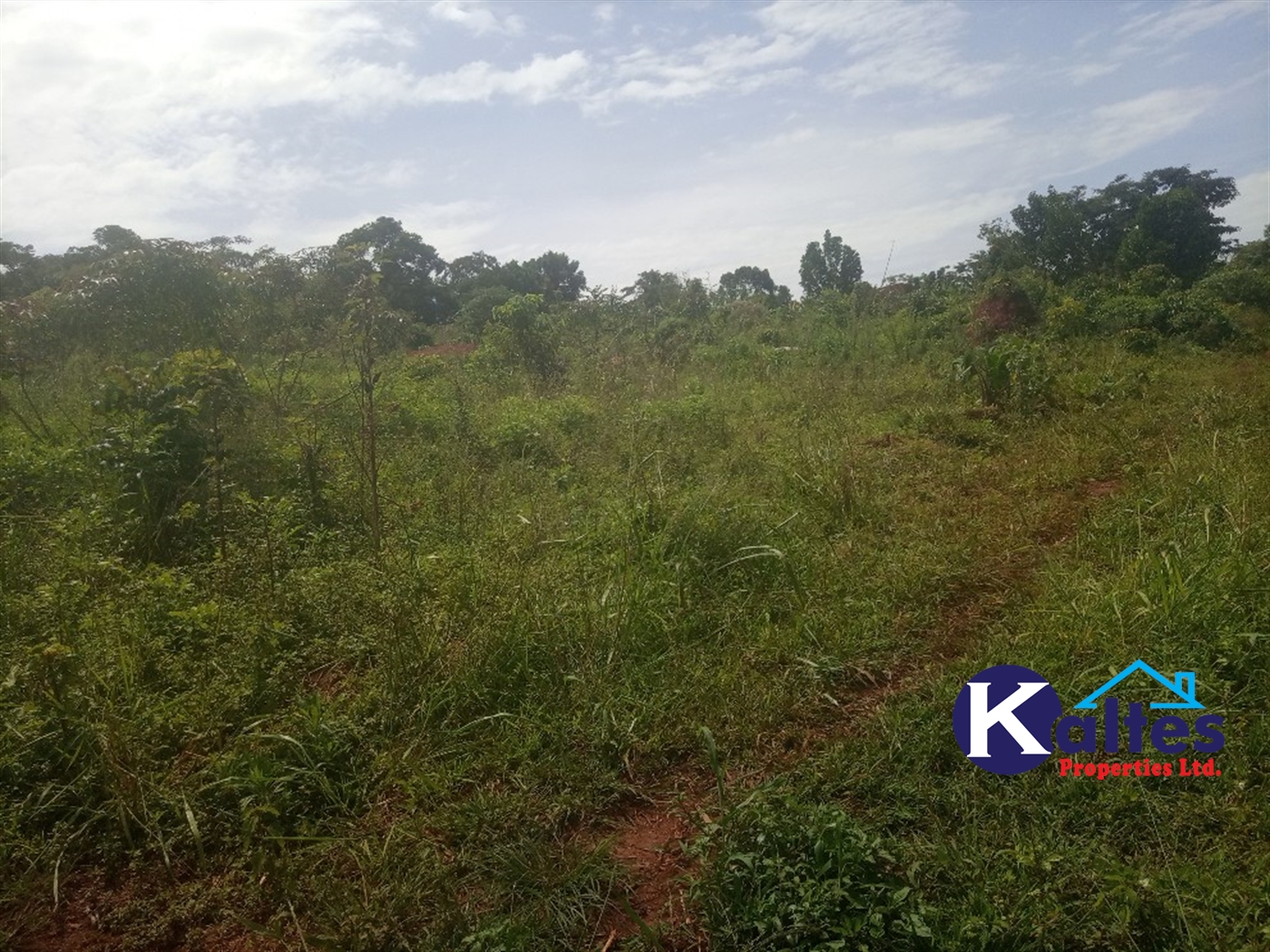 Agricultural Land for sale in Kabila Kayunga