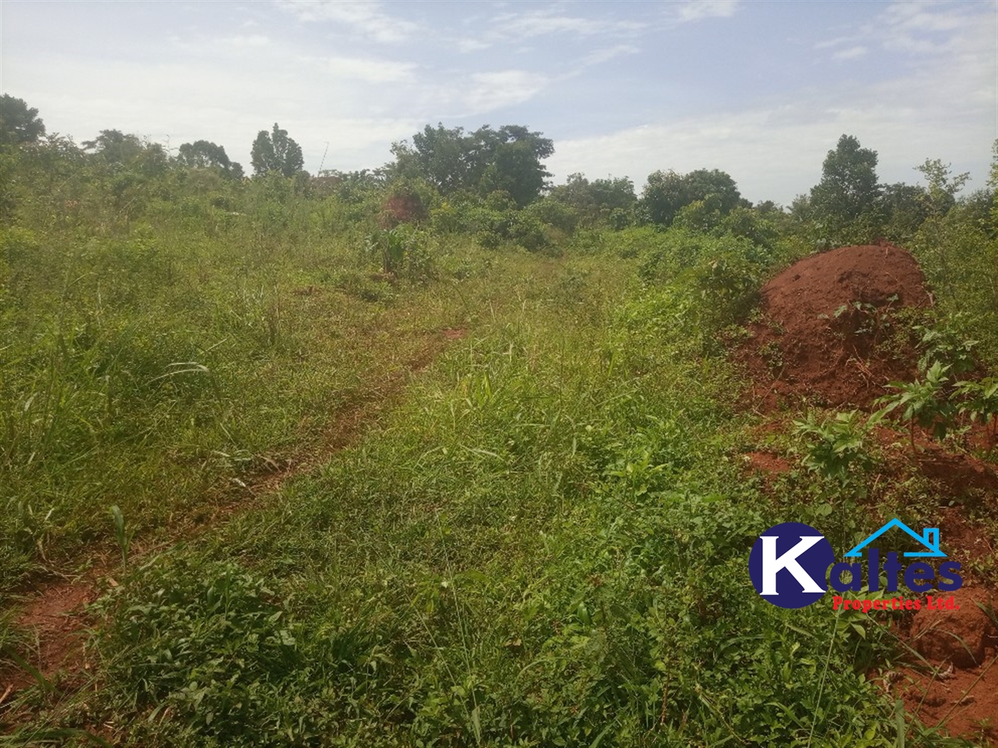 Agricultural Land for sale in Kabila Kayunga