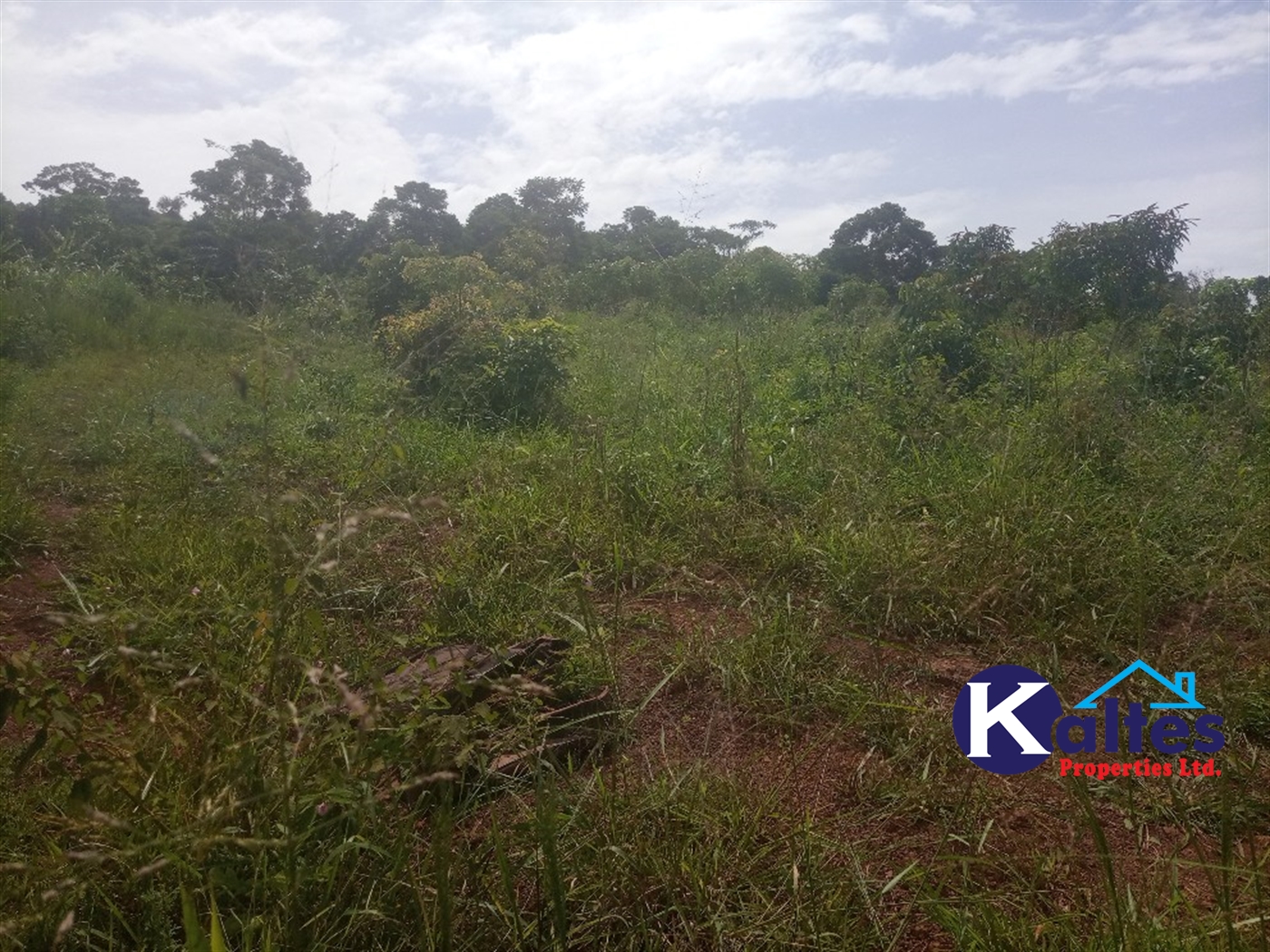 Agricultural Land for sale in Kabila Kayunga