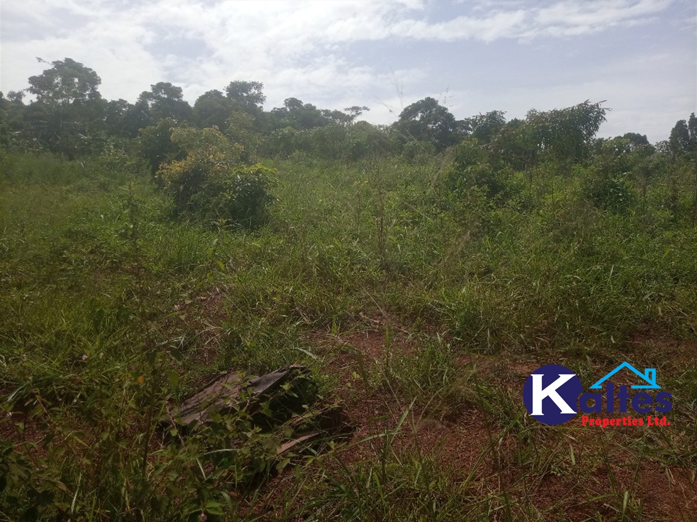 Agricultural Land for sale in Kabila Kayunga