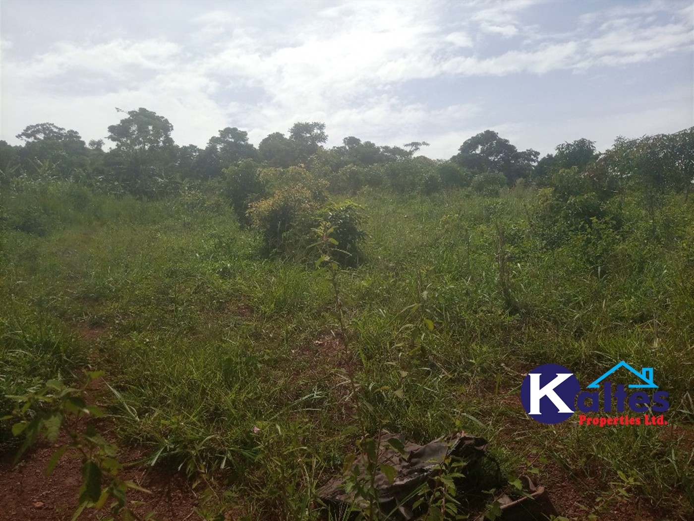 Agricultural Land for sale in Kabila Kayunga