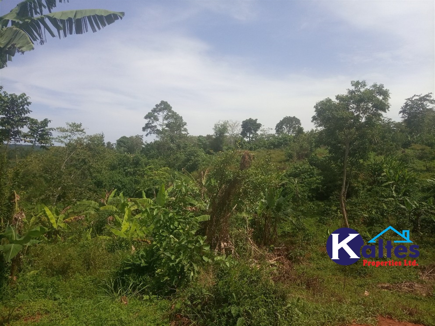 Agricultural Land for sale in Kalenge Kayunga