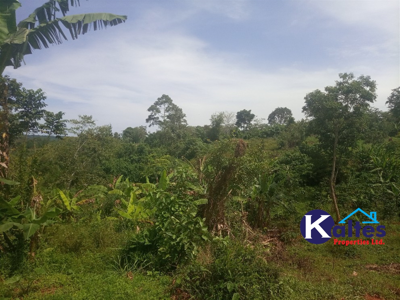 Agricultural Land for sale in Kalenge Kayunga