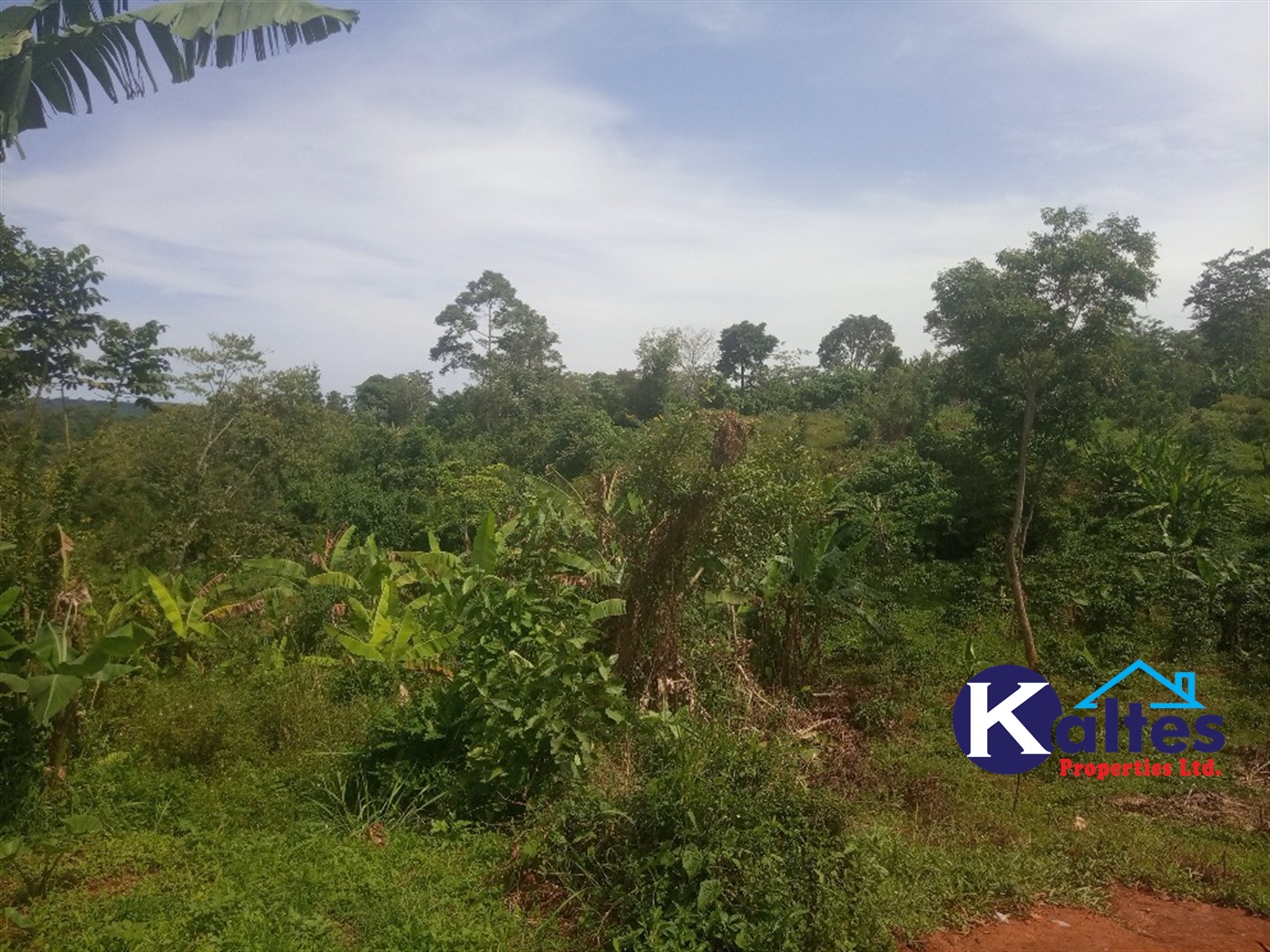 Agricultural Land for sale in Kalenge Kayunga