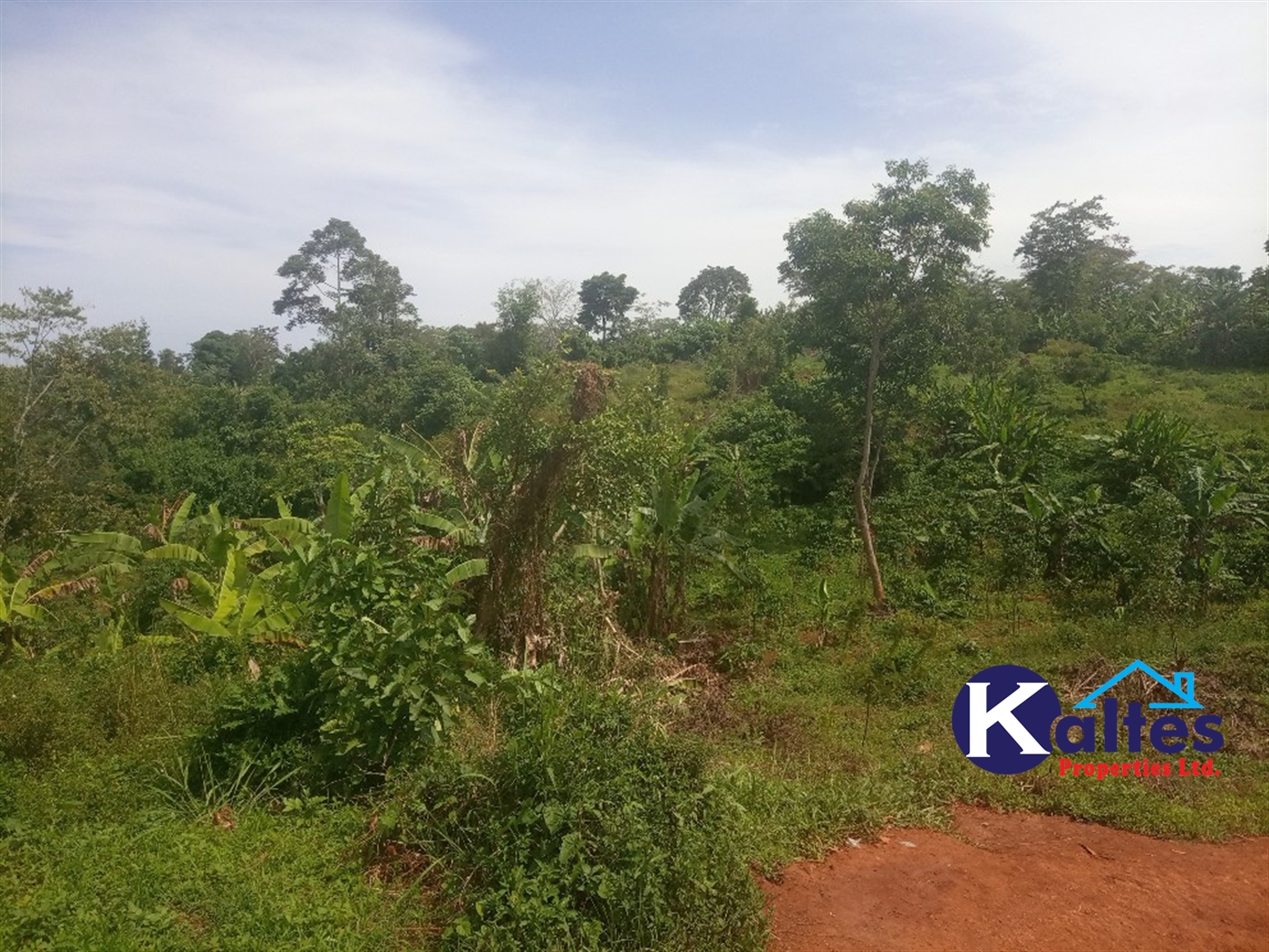 Agricultural Land for sale in Kalenge Kayunga