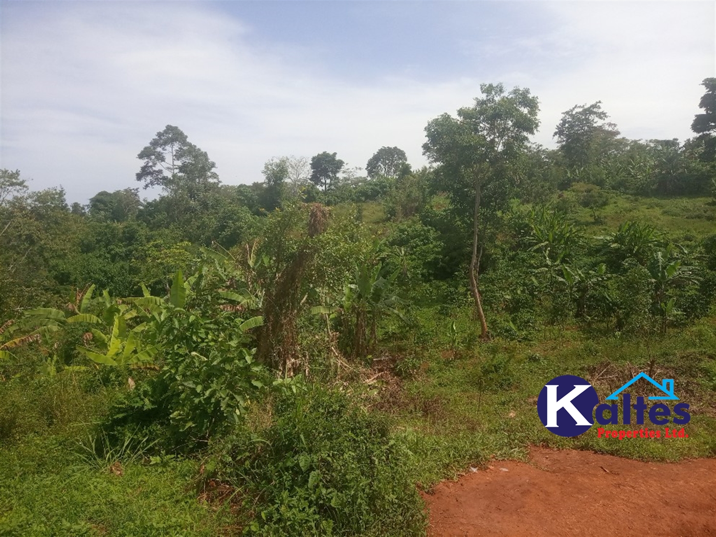 Agricultural Land for sale in Kalenge Kayunga