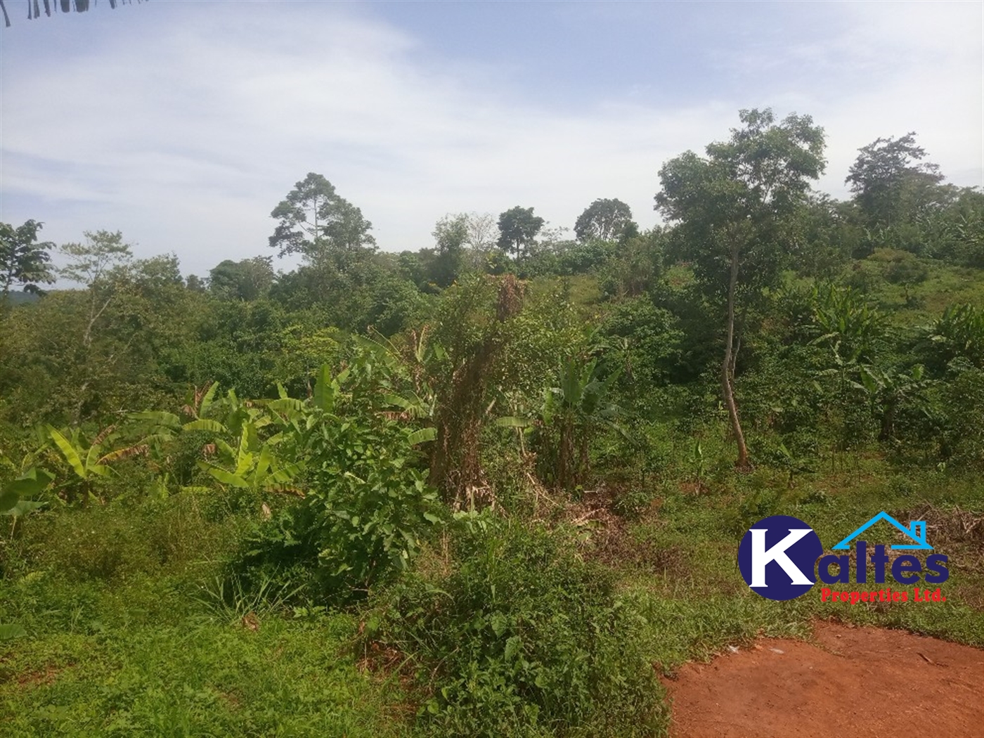 Agricultural Land for sale in Kalenge Kayunga