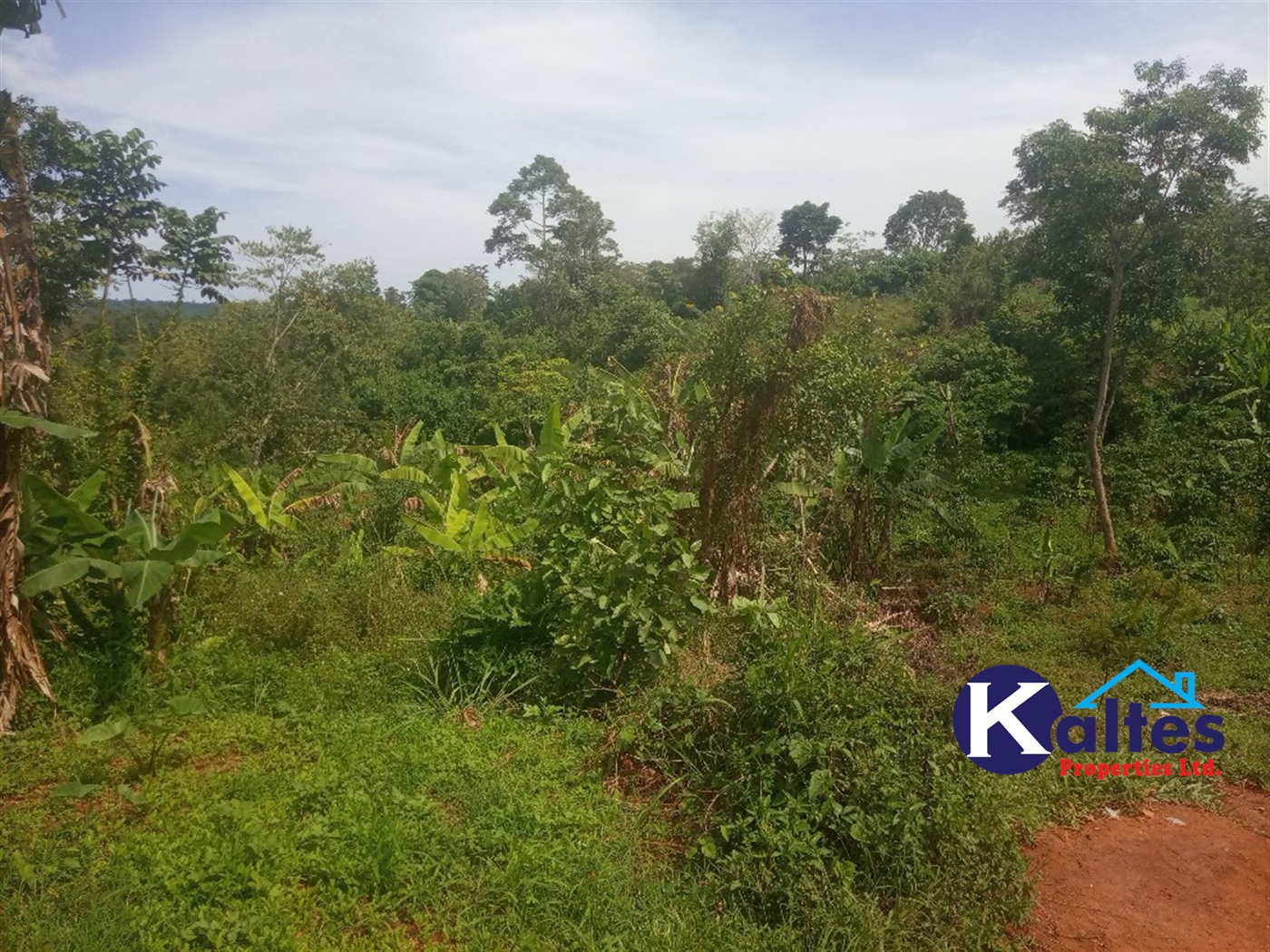 Agricultural Land for sale in Kalenge Kayunga