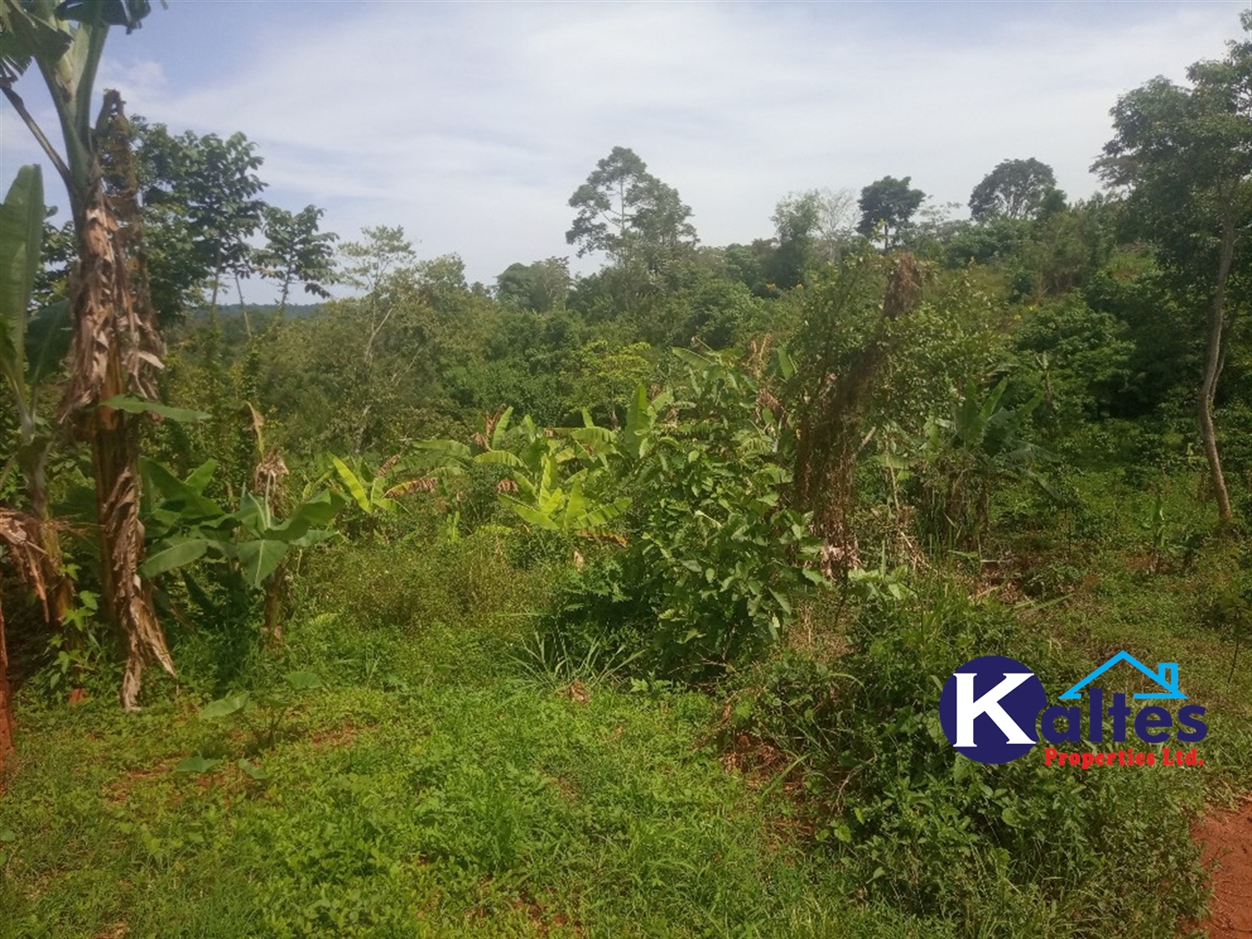 Agricultural Land for sale in Kalenge Kayunga