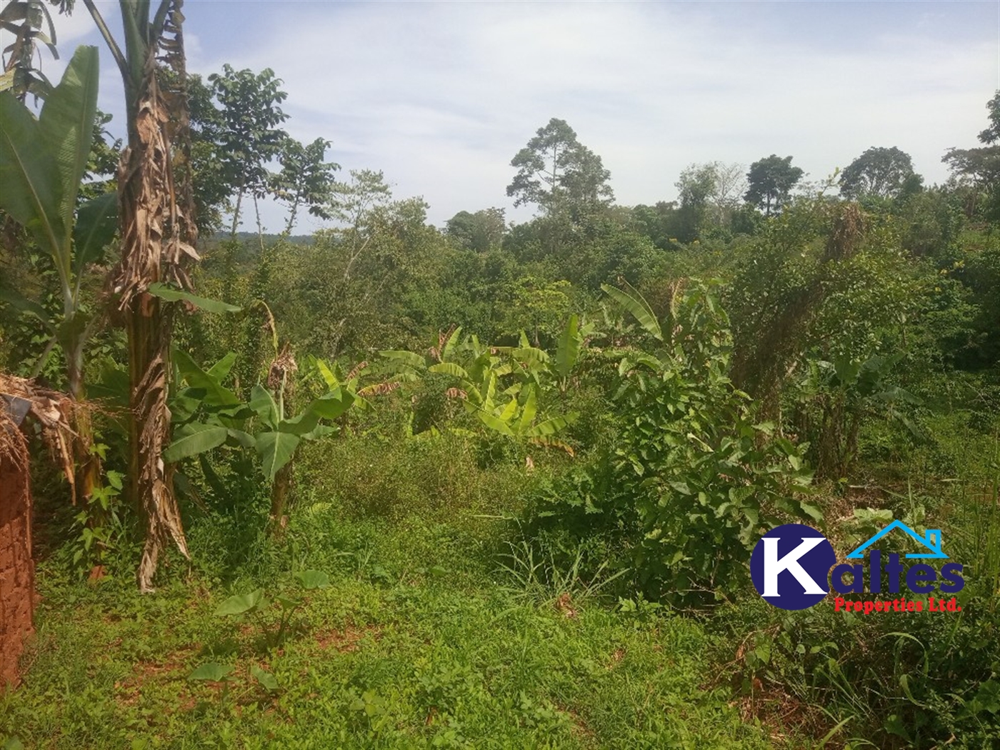 Agricultural Land for sale in Kalenge Kayunga