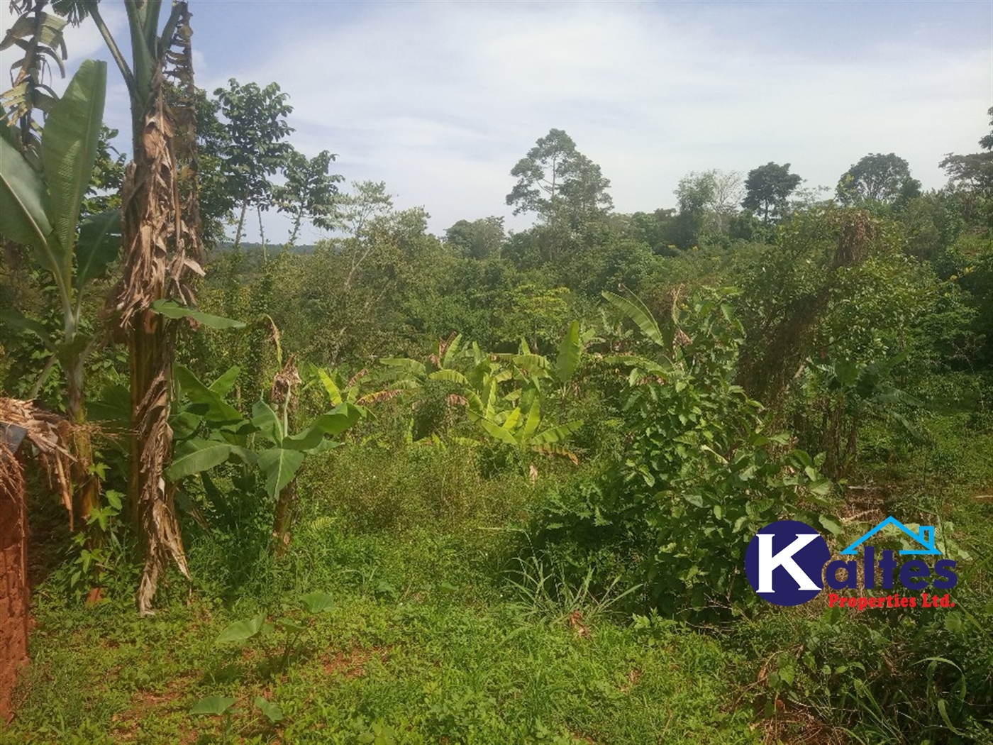 Agricultural Land for sale in Kalenge Kayunga