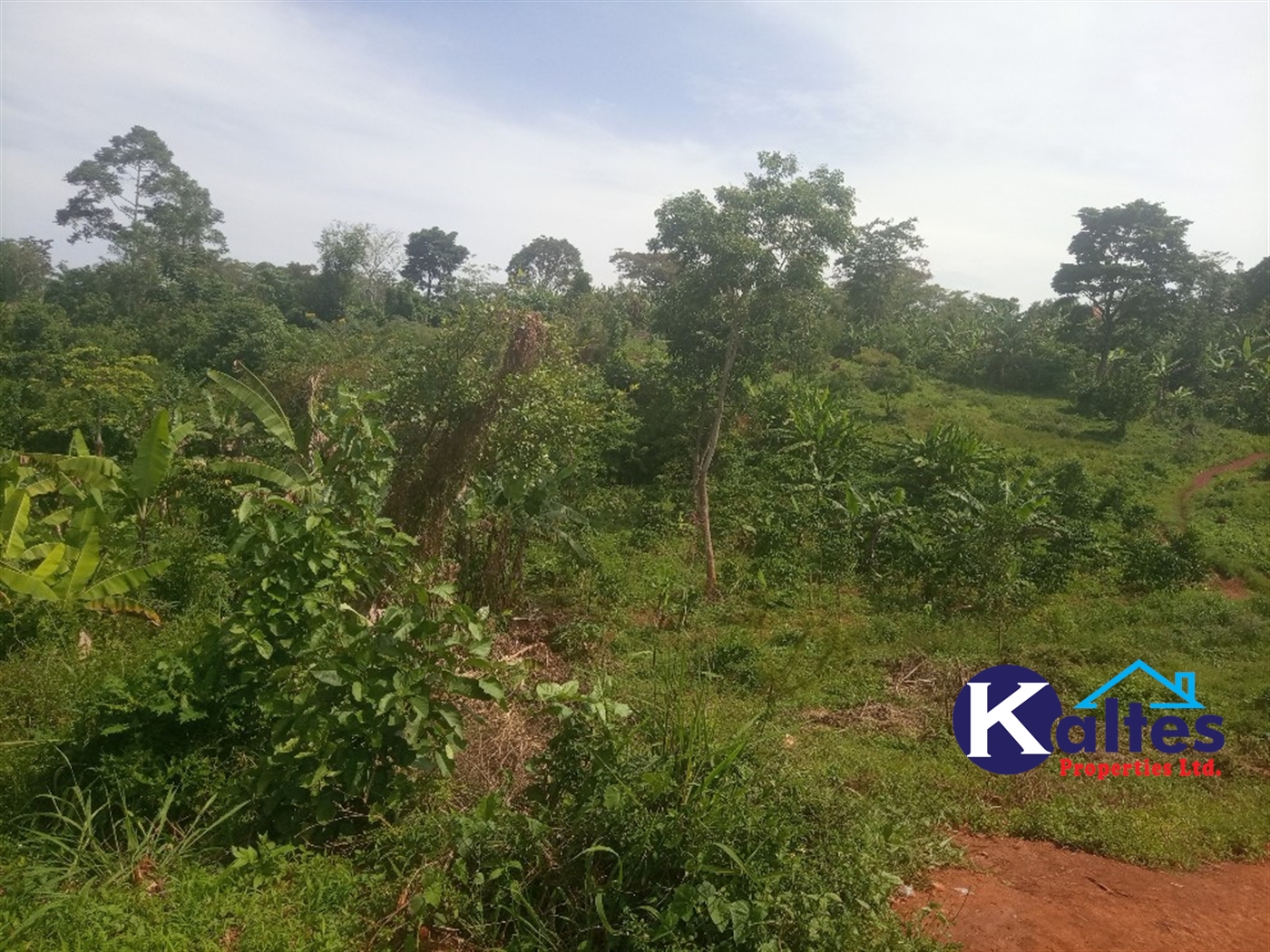 Agricultural Land for sale in Kalenge Kayunga